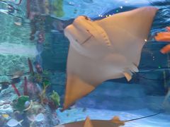 -沈阳海洋探索中心