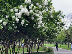 -蠡湖大桥公园