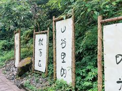 -西岭雪山大飞水景区