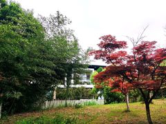 -绍兴镜湖国家城市湿地公园