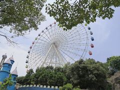 -温州乐园