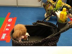 -东浩兰生上海世博展览馆