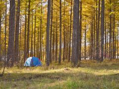 -塞罕坝国家级自然保护区