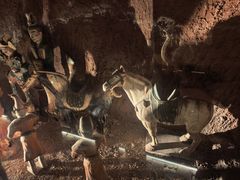 -洛阳古墓博物馆