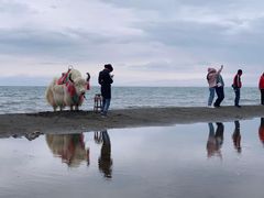 -青海湖国家重点风景名胜区