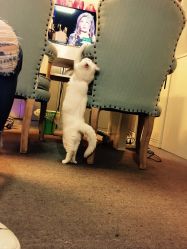 -尚美日式美甲美睫工作室