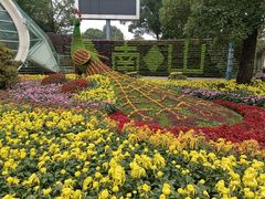 -南山植物园