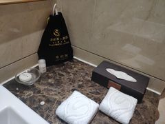 -圣爵菲斯大酒店(长沙世界之窗店)