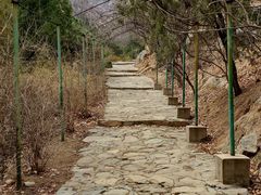 -北京鹫峰国家森林公园