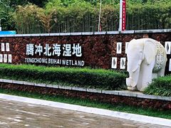 -腾冲北海湿地