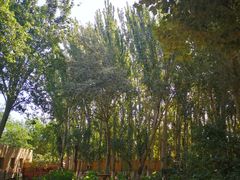 -艾提尕尔清真寺