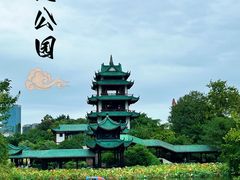 -桂湖森林公园