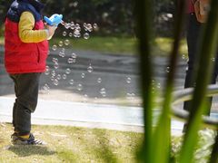 -苏州河梦清园环保主题公园