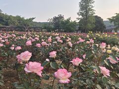 -龙寺生态园