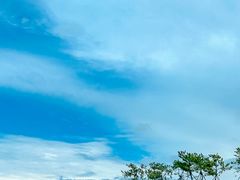 -小麦岛公园