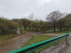 -大水川景区