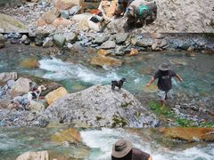 -西岭雪山大飞水景区
