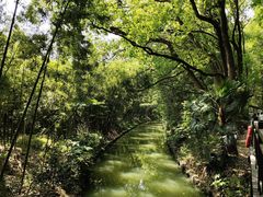 -同里国家湿地公园
