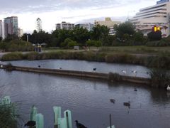 -黄金海岸