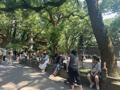 -普陀山风景名胜区-法雨禅寺
