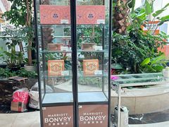 -青岛城阳宝龙福朋喜来登酒店