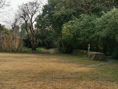 -鹿野苑石刻艺术博物馆