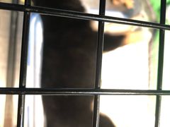 -宠物世家(仲盛世界商城店)