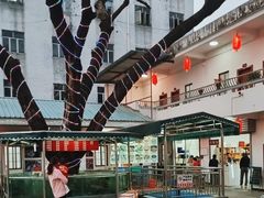 -新渔之道餐厅(塘厦店)