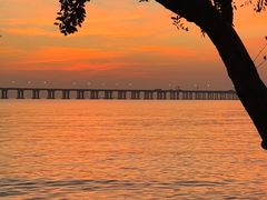 -宝安西湾红树林湿地公园