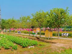 -盈香心动乐园