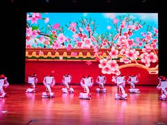 -美育儿童音乐舞蹈国际机构(浦东分校)