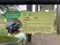 -苏州上方山国家森林公园