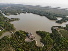 -上海海湾国家森林公园