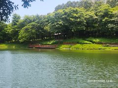 -深圳国际园林花卉博览园