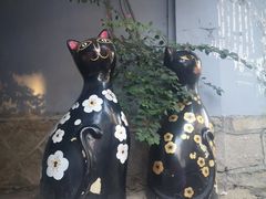 -猫咪博物馆(顶澳仔猫街店)