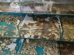 -仙螺岛海鲜自助餐厅(总店)