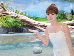 -海合安成都极地海洋公园