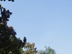 -海底捞火锅(高科广场店)