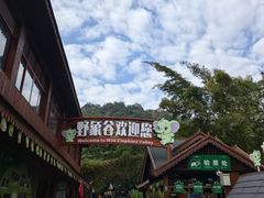 -野象谷景区