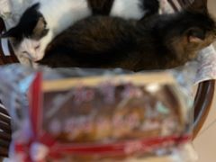 -红宝石·鲜奶小方·海派西点房(金杨店)