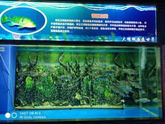 -大明湖海底世界