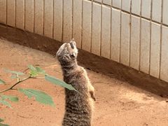 -石家庄市动物园