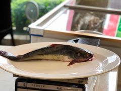 -老刘生态大鱼坊铁锅炖鱼(赛马场店)