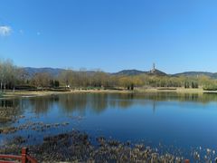 -北坞公园