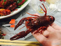 -虎虎龙虾•9年湖北匠(双井店)