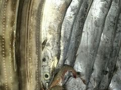 -合家小菜餐馆(新诚花苑店)