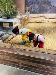 -造物庄园 萌宠纪(苏州湾歌林公园店)
