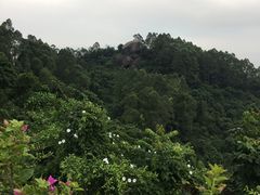 -火炉山森林公园