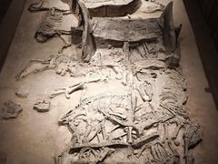 -北京大葆台遗址博物馆