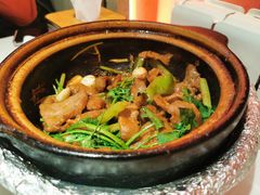 沙姜嗜鸡-煲煲好(朝阳门店)
